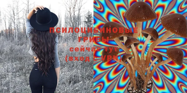прущая мука Козельск