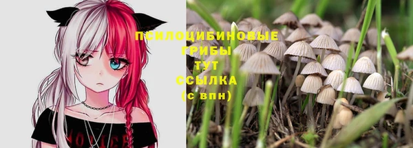 молекула духа Переславль-Залесский