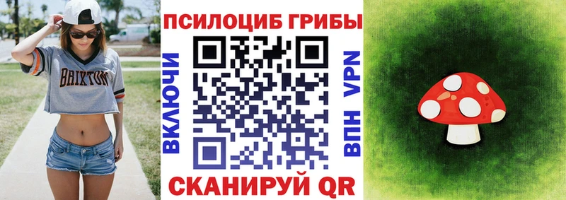 Псилоцибиновые грибы Cubensis  Мелеуз 